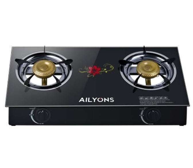 Two burner cooker
